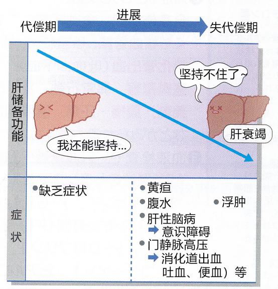 无肝衰竭症状,肝功比较正常.