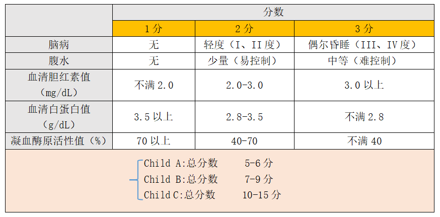 除了child-pugh分级标准,还有用肝硬化严重程度评价的肝功能障碍程度